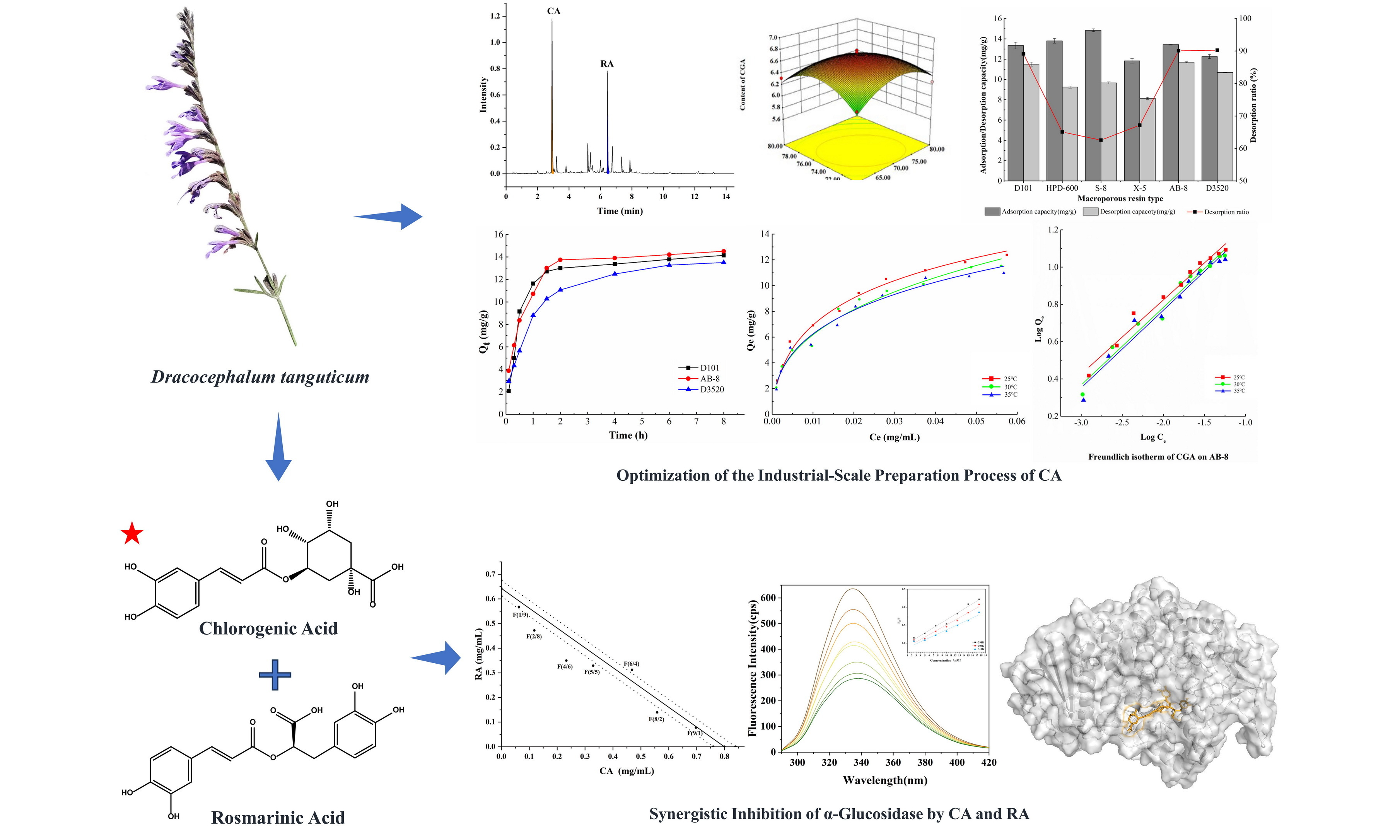 西北高原所在甘青青兰绿原酸与迷迭香酸协同抑制α-glucosidase活性研究中取得新进展